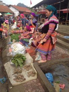 circuits-moto-vietnam