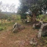 Plaine des jarres au Laos