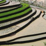Rizières en terrace à Mu cang chai, Vietnam